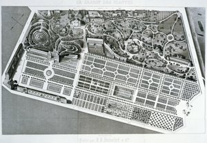 Aerial View of the Plan of the Jardin des Plantes in Paris, 1842