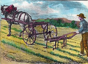 One of the first mechanical hoeing machines, with animal traction, used in a beet field by French School