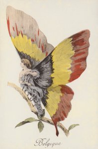 Allegorical Depiction of Belgium as a Butterfly by French School