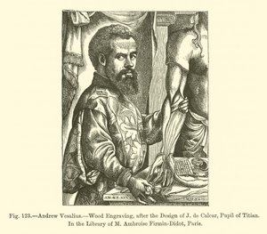 Andrew Vesalius by French School
