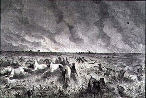 Animals Fleeing a Prairie Fire by French School