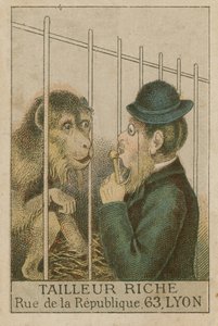 Ape and Man by French School