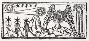 Bearded Stars, a Shooting Star, Tail of a Comet, a Long-Haired Star, a Pinned Down Star