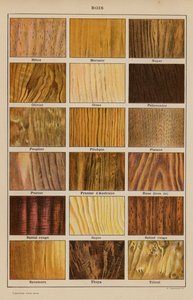 Wood