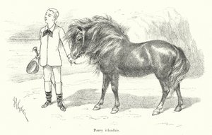 Boy with an Irish Pony by French School