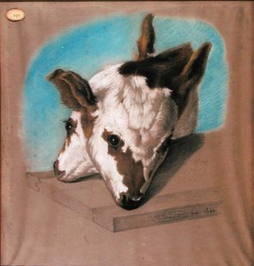 Calf with Two Heads by French School