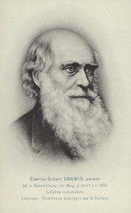 Charles Darwin (1809-1882) by French School