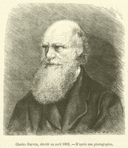 Charles Darwin, Deceased in April 1882 by French School