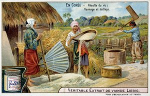 Korea: rice harvesting, weaving and threshing - chromo. Liébig, c.1900 by French School