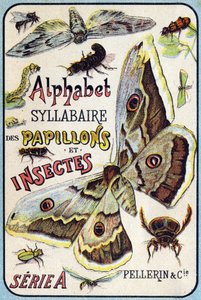 Cover of "Syllabary alphabet of butterflies and insects" by French School