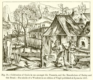 Cultivation of Grain in Use Amongst the Peasants, and the Manufacture of Barley and Oat Bread by French School