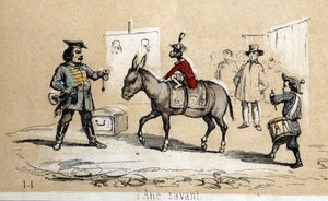 Description of different products and uses of donkey: the learned donkey is used by circus artists. Plate 