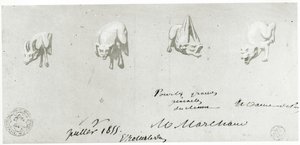 Drawing for the Restoration of the Gargoyles of Notre Dame, 1855 by French School