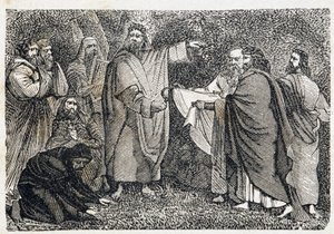 Druids picking mistletoe - in 