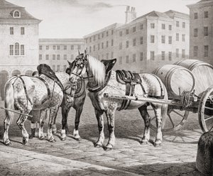 English Farm Horses
