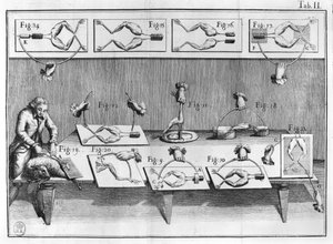 Experiment on frogs, illustration from De viribus electricitatis in motu muscumari by French School