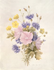 Field Flowers, 1842 by French School