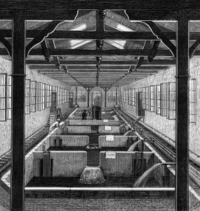 Fish farming: the farmed pools of fry in Huningue, Haut Rhin