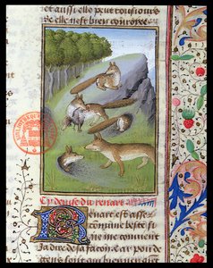 Foxes, from the Livre de la Chasse by Gaston Phebus