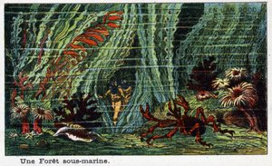 Futuredays: A Nineteenth Century Vision of the Year 2000 - Series En l