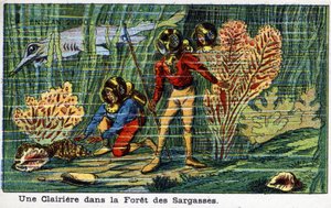 Futuredays: A Nineteenth Century Vision of the Year 2000 Series: A clearing in the Sargasso Forest (under sea). Chromolithography by Villemard by French School