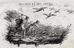 Geese and Cranes. Fable of Aesop. Written by Guillaume Montfort and engraved by Beauble in 1801. by French School