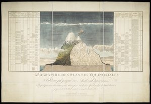 Geography of Equinoctial Plants