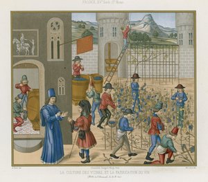 Growing vines and making wine by French School