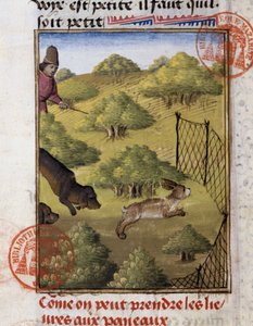 Hare Hunting - in Hunting Book of Gaston Phoebus, Count of Foix, Lord of Béarn by French School