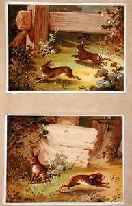 Hares and Rabbits, c.1890 by French School