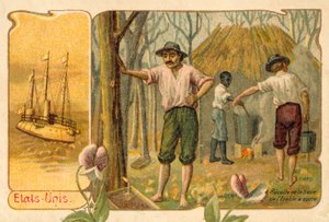 Harvesting maple sap to make maple syrup, United States by French School