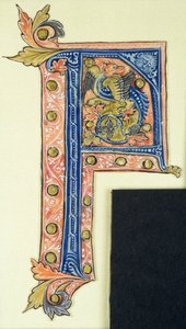 Historiated initial P depicting a winged griffin by French School