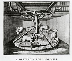 Horses Driving a Rolling Mill, from the Encyclopédie by Denis Diderot and Jean le Rond d