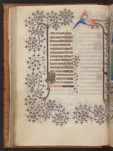 Hours of the Virgin, Book of Hours, Add MS 32454 f.37v, France by French School
