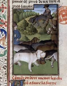 Hunting Dogs - in Hunting Book of Gaston Phoebus, Count of Foix, Lord of Béarn