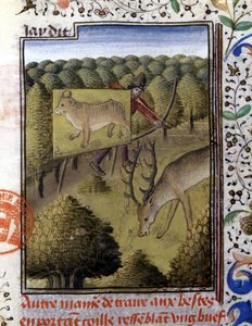 Hunting Deer with a Lure - in Hunting Book by Gaston Phoebus, Count of Foix, Lord of Béarn