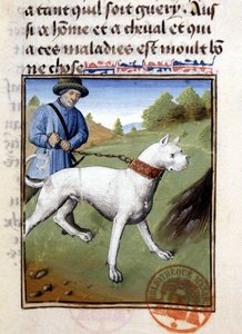 Hunting Dog Held on a Leash - in Book of Hunting by Gaston Phoebus, Count of Foix, Lord of Béarn by French School