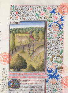 Huntsman Concealing Himself Behind a Decoy while Hunting a Stag, from the Livre de la Chasse by Gaston Phebus de Foix (1331-91)