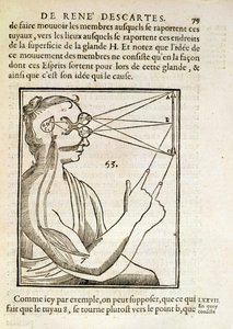 Illustration from De Homine Figuris by Rene Descartes, published in The Hague, 1662 by French School