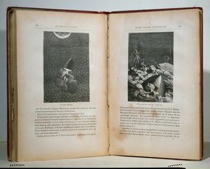 Illustrations from Round the Moon by Jules Verne by French School