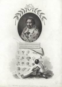 Joseph Pitton de Tournefort by French School