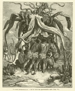 The Anthropophagous Tree by French School
