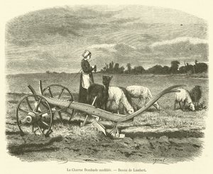 The Modified Dombasle Plow by French School