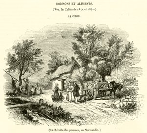 Apple harvest, in Normandy by French School