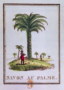 Label for a palm oil scented soap, depicting a palm tree by French School