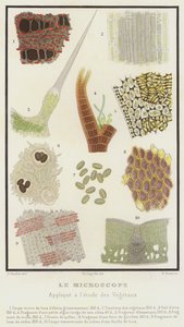 The Microscope, Applied to the Study of Plants by French School