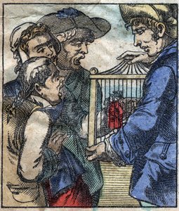 Lemuel Gulliver, in a cage is shown to the giants of Brobdingnag. Illustration for 