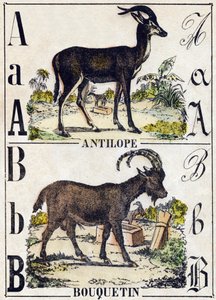 Letter A Antelope; B Ibex. Engraving in 