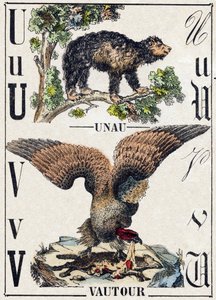 Letter U Unau (lazy); V Vulture. Engraving in 