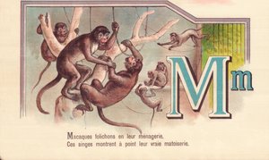 Macaques leaflets in their menagerie, These monkeys show their true matoiserie by French School